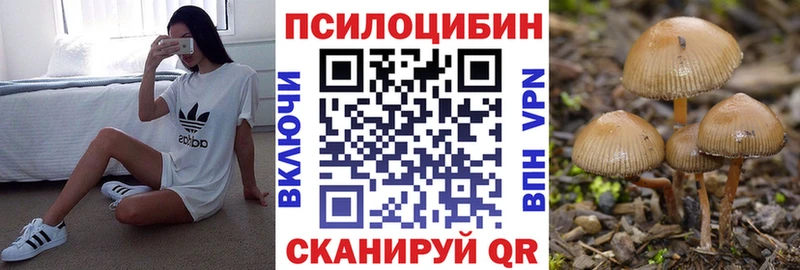 где найти наркотики мориарти состав Галлюциногенные грибы MAGIC MUSHROOMS Арамиль